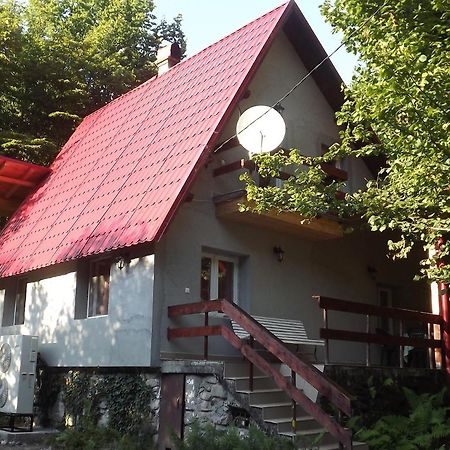 Casa De Oaspeti Boga Pietroasa  外观 照片