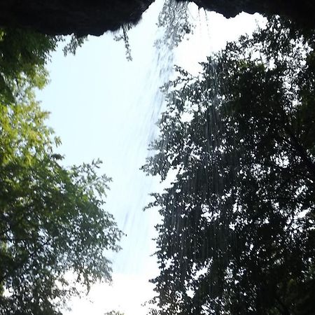 Casa De Oaspeti Boga Pietroasa  外观 照片
