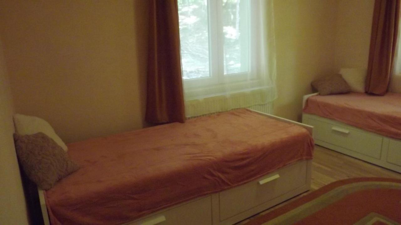 Casa De Oaspeti Boga Pietroasa  外观 照片
