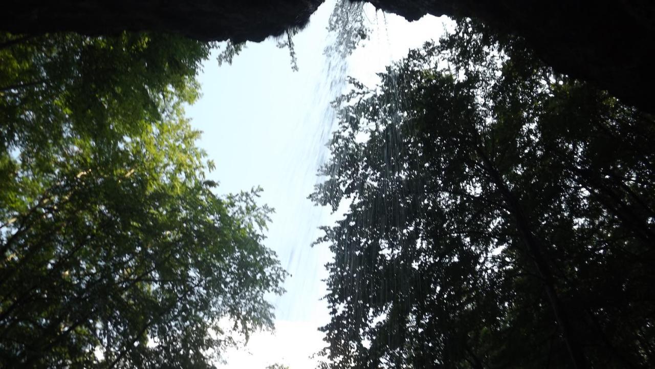 Casa De Oaspeti Boga Pietroasa  外观 照片